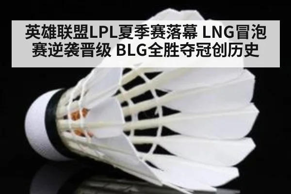 英雄联盟LPL夏季赛落幕 LNG冒泡赛逆袭晋级 BLG全胜夺冠创历史