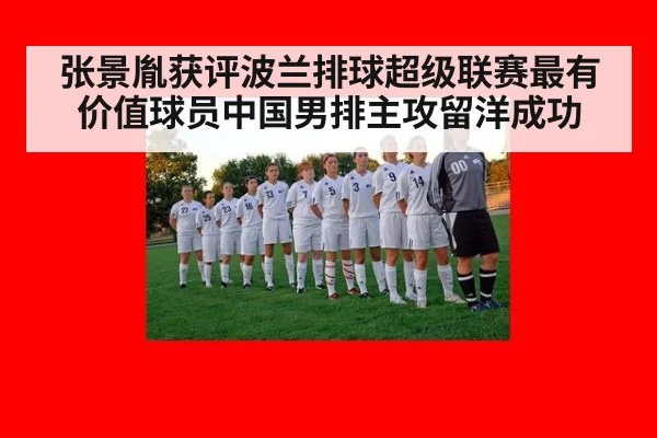 张景胤获评波兰排球超级联赛最有价值球员中国男排主攻留洋成功