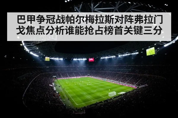 巴甲争冠战帕尔梅拉斯对阵弗拉门戈焦点分析谁能抢占榜首关键三分